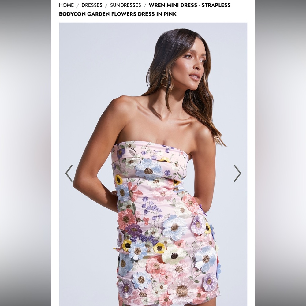 Showpo Wren Mini Dress